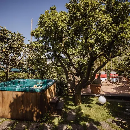 Gallone Σορέντο